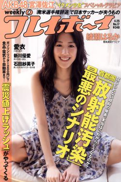 新女巡按